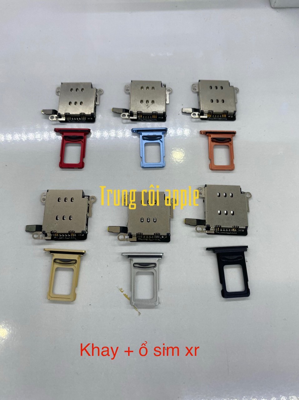 339DCCDA-300E-4A7F-BC95-8D812F7DCBD2