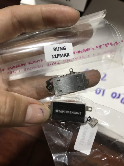RUNG-11PM-510x681