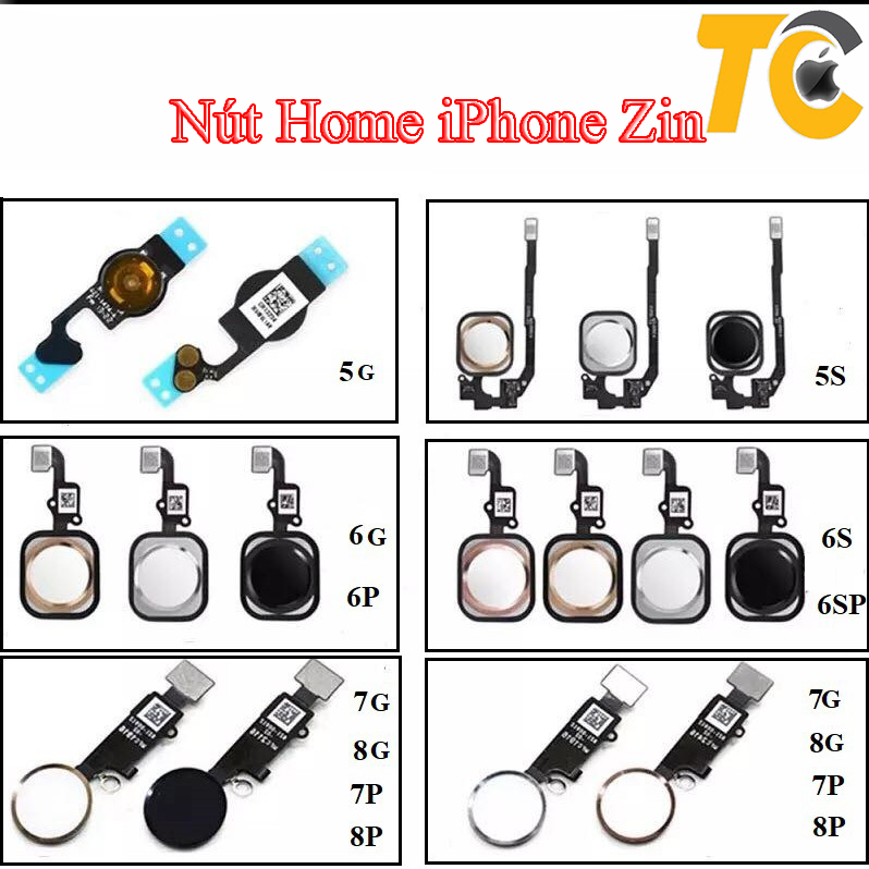 nut home iphone zin nut home iphone zin
