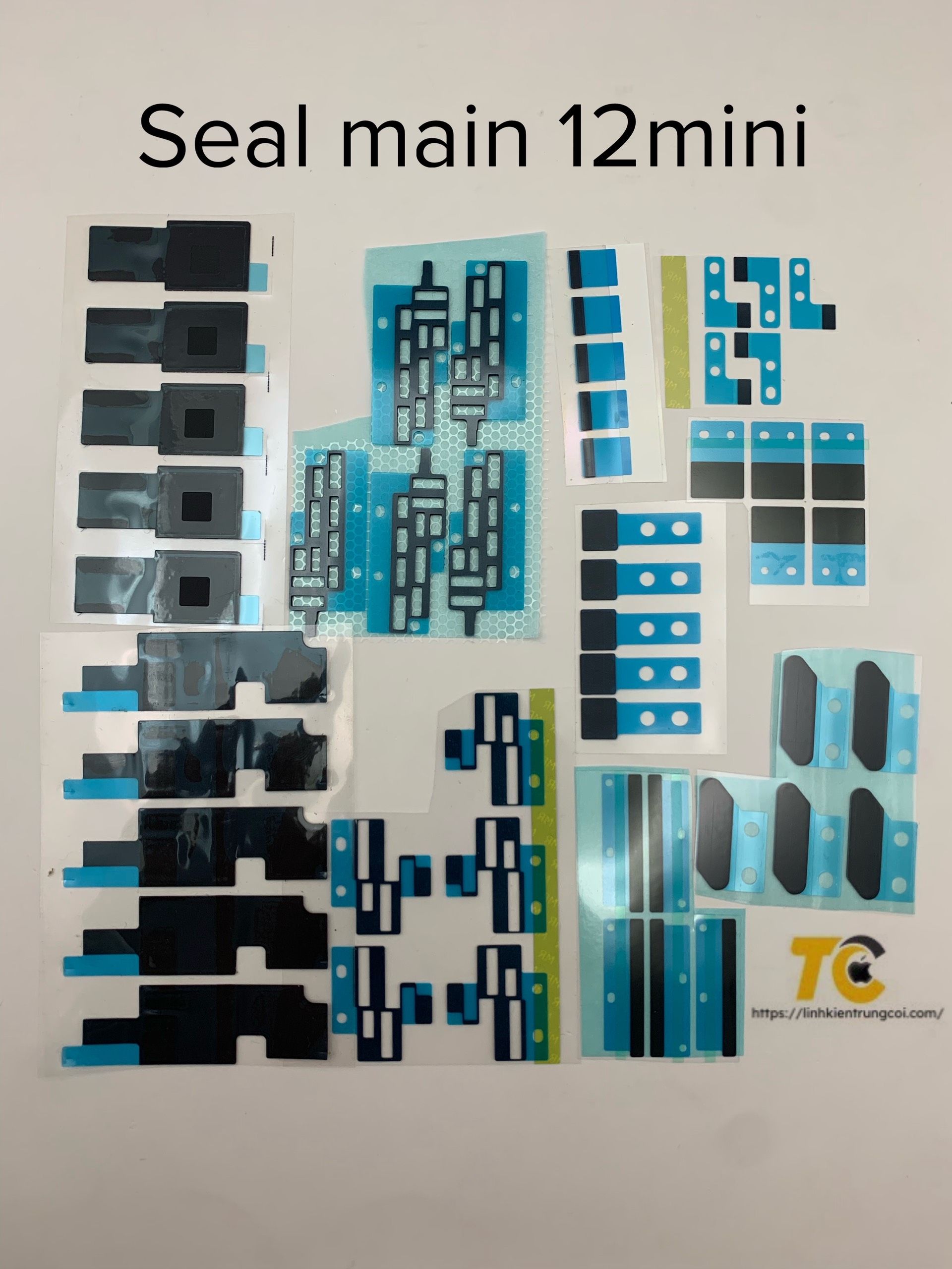 z5381752392344_d2224f7ed09092f7d7721428d2f0bba5