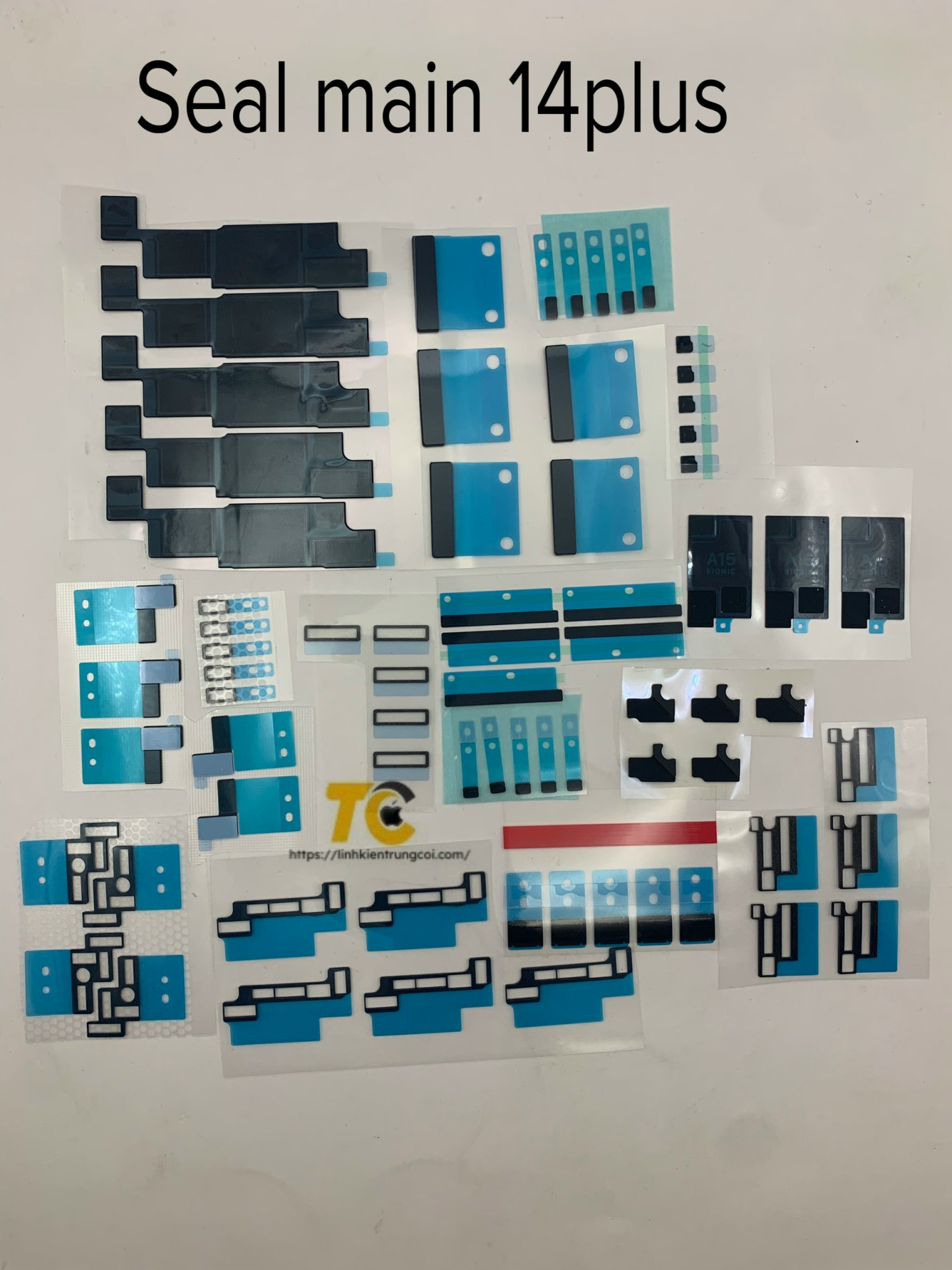 z5445999324408_ea49f7d3b76bd873ce4c352986817f59