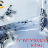 ỐC ĐÍT X/XS/XR/XSM