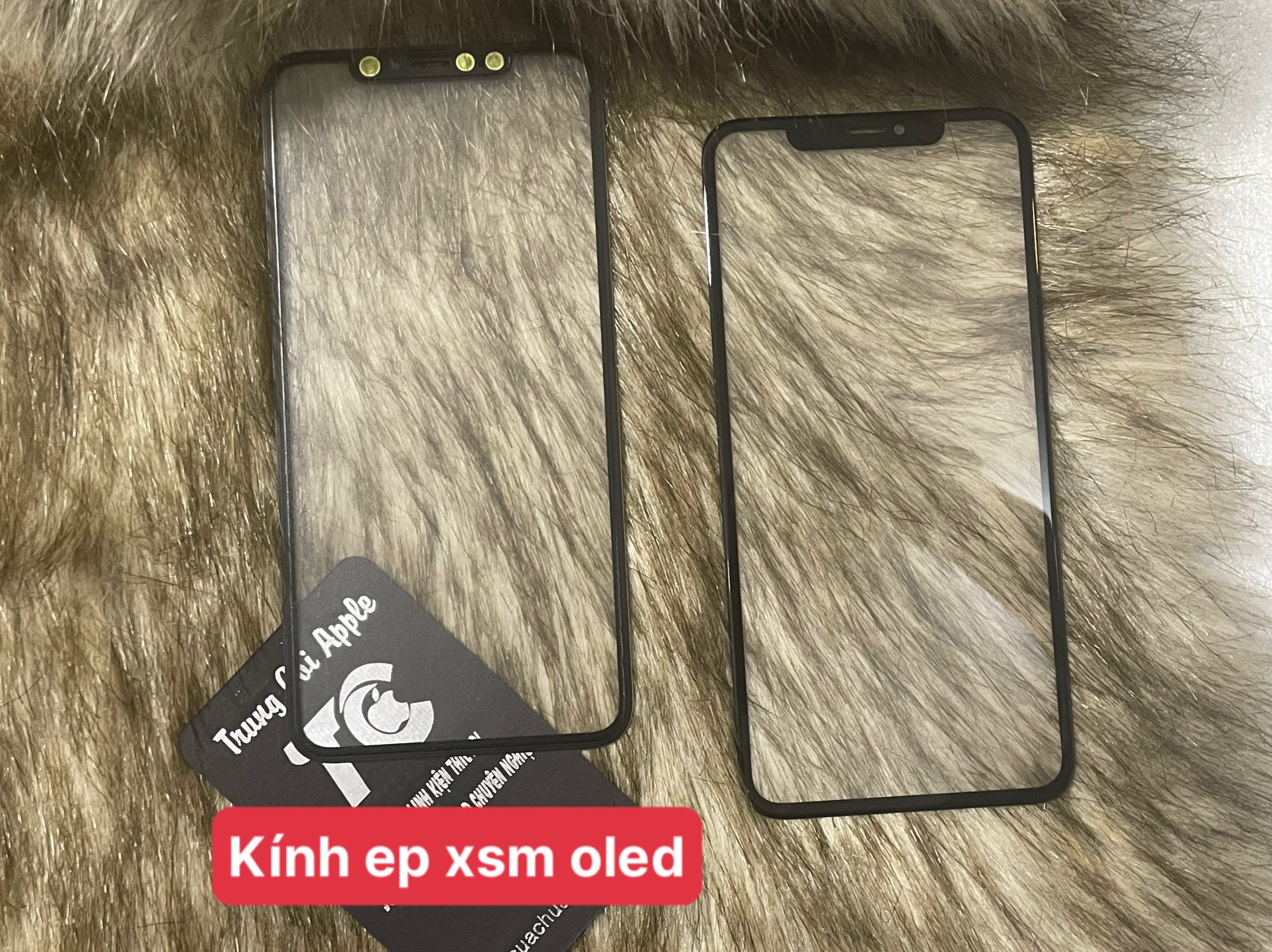 KÍNH ÉP XSM OLEXDÀ
