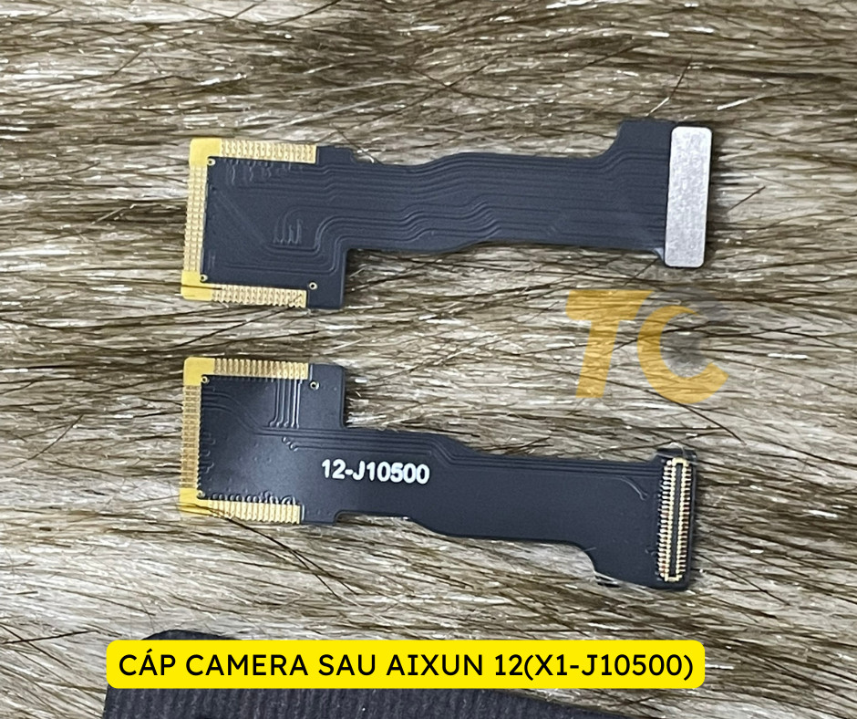 12(X1-J10500