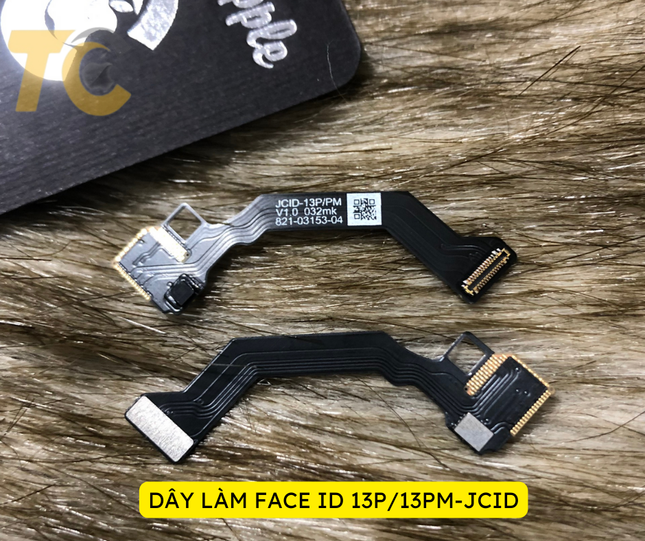 13P .PM