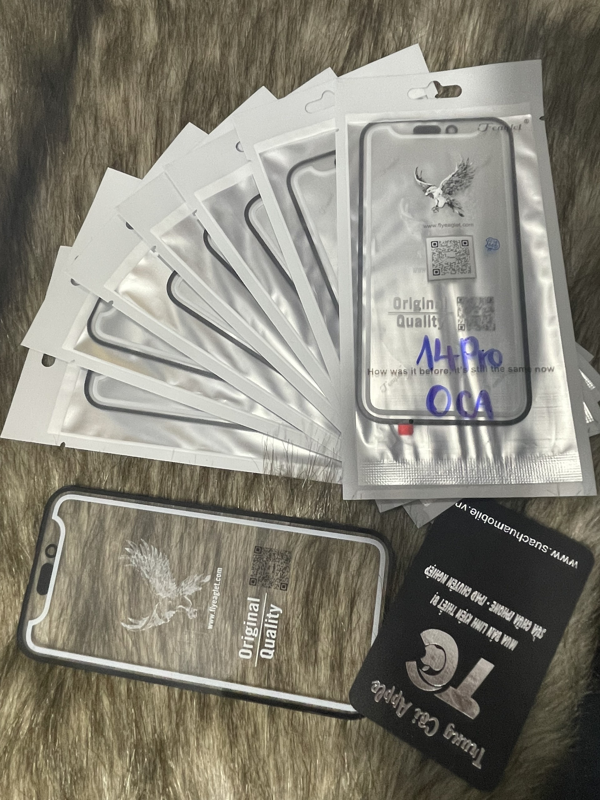 14P OCA ĐẠI BD