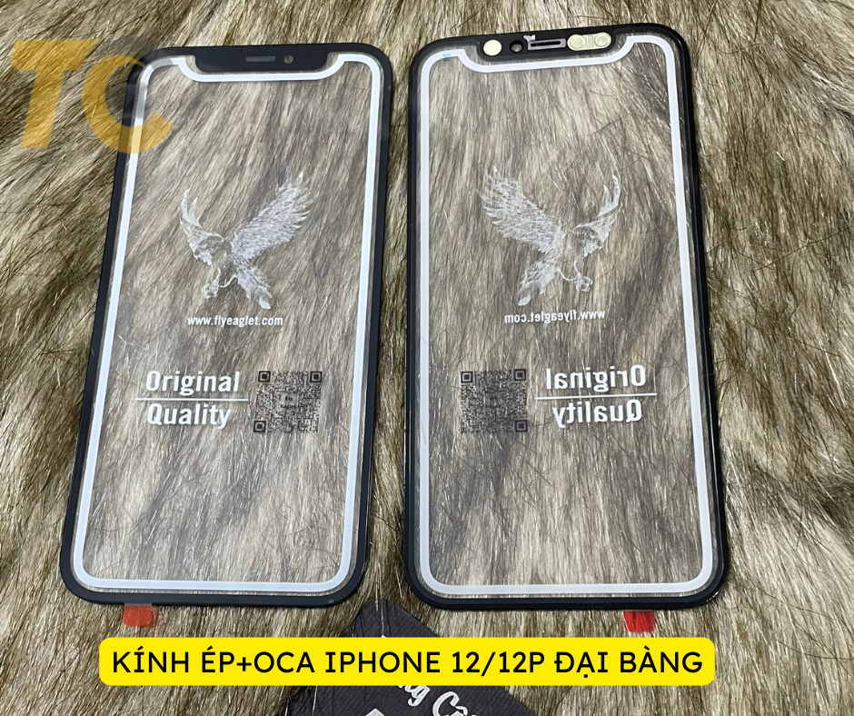 KÍNH ÉP+OCA IPHONE 12_12P ĐẠI BÀNG