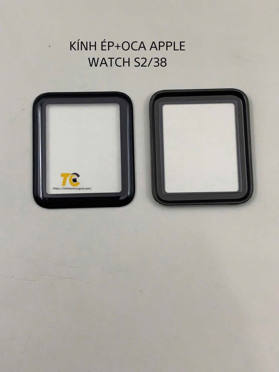TC02030000019