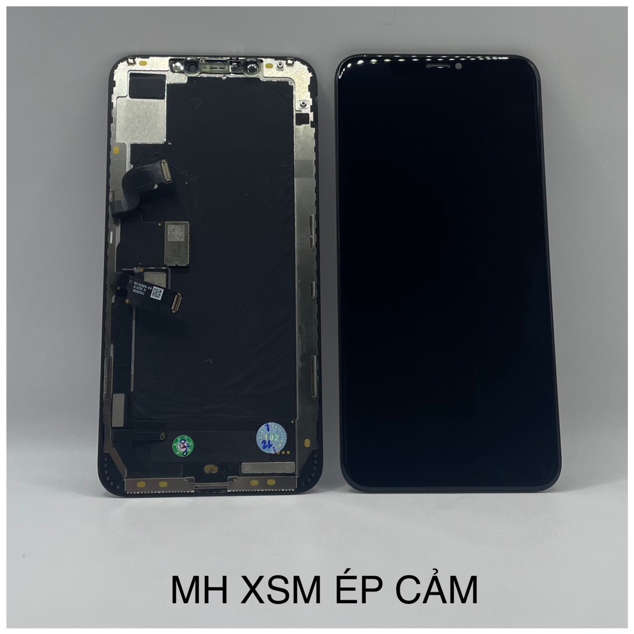 xsm ec