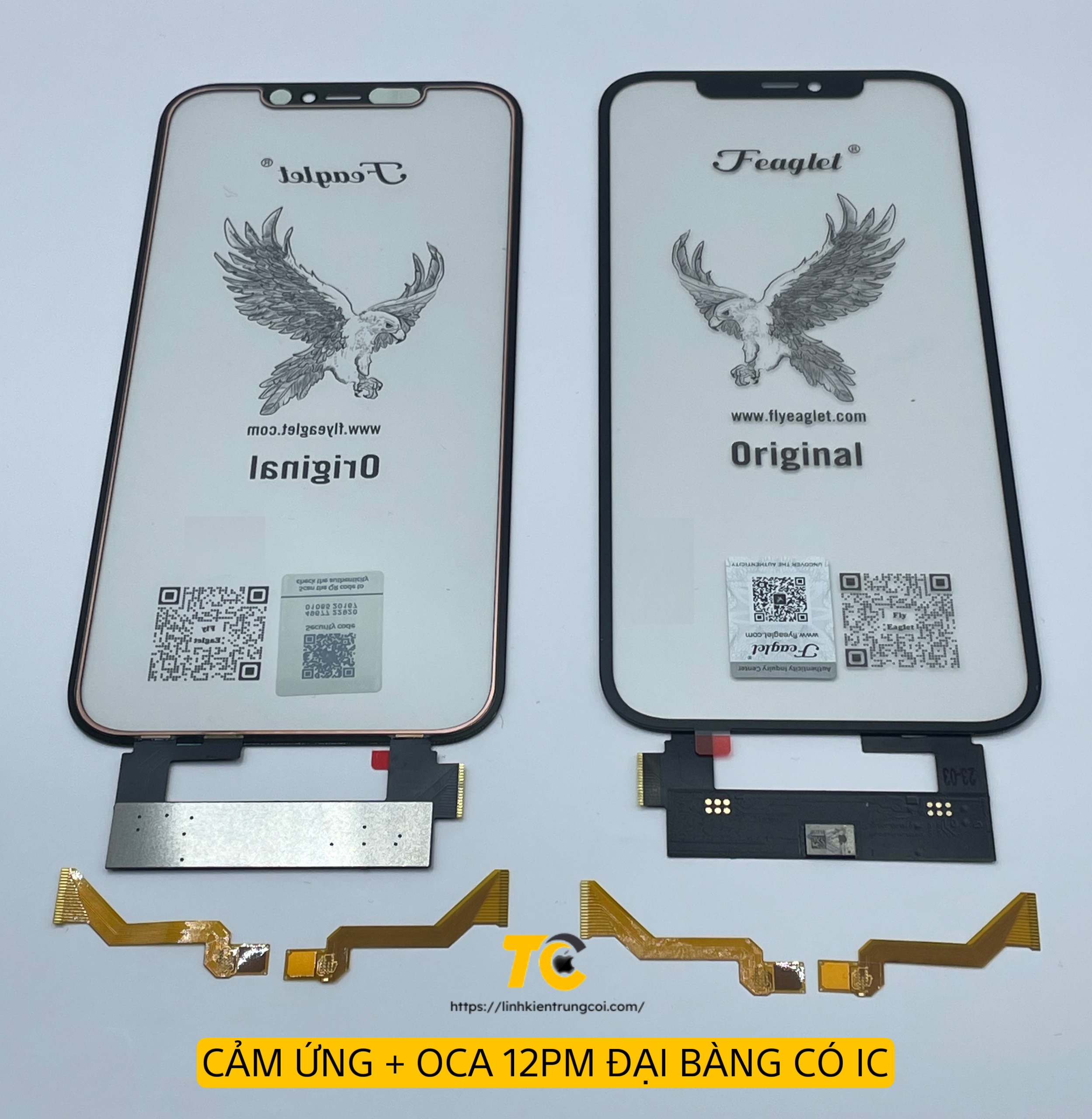 12PM CÓ IC