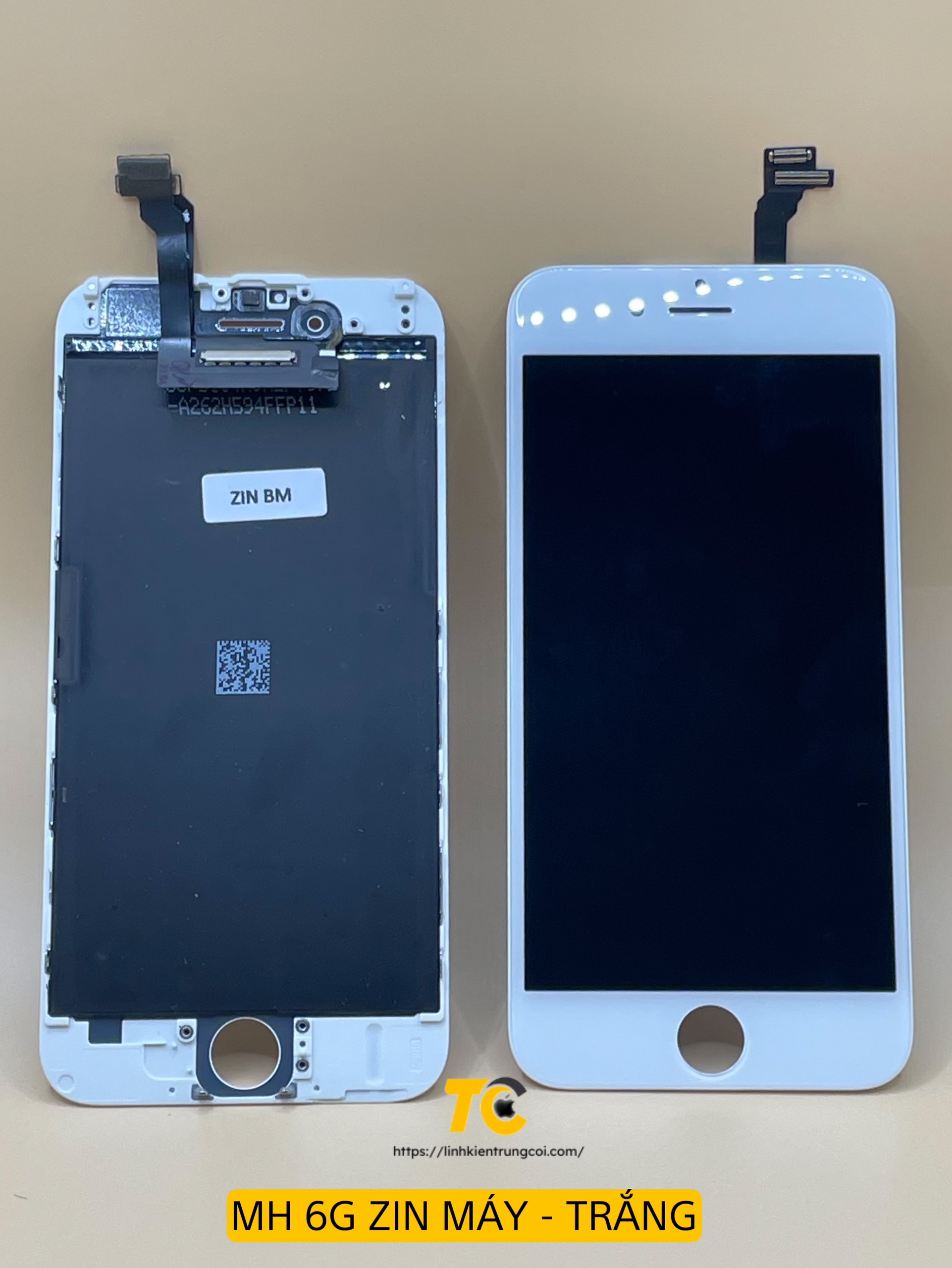 6G ZM TRẮNG