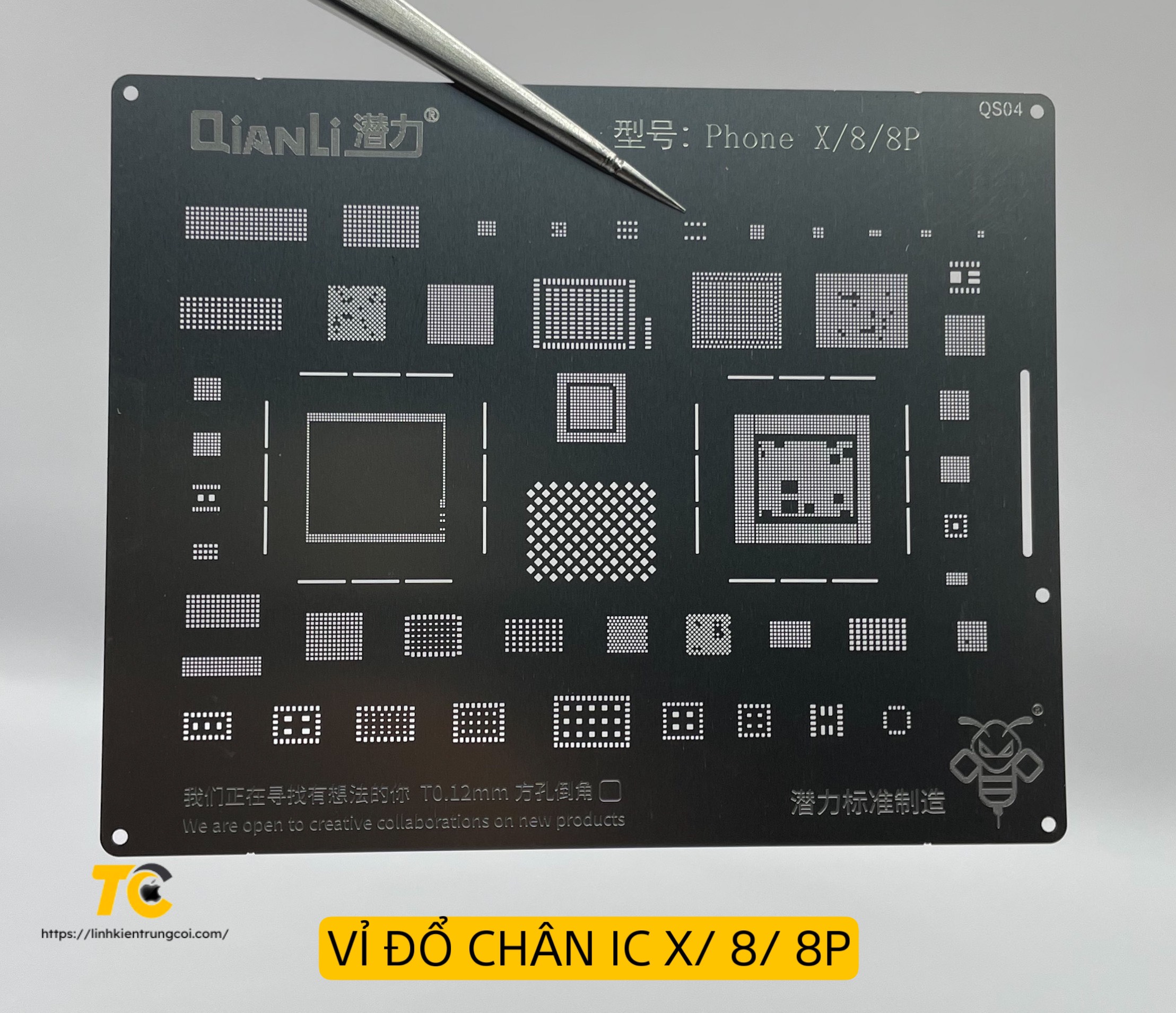 X 8 8P