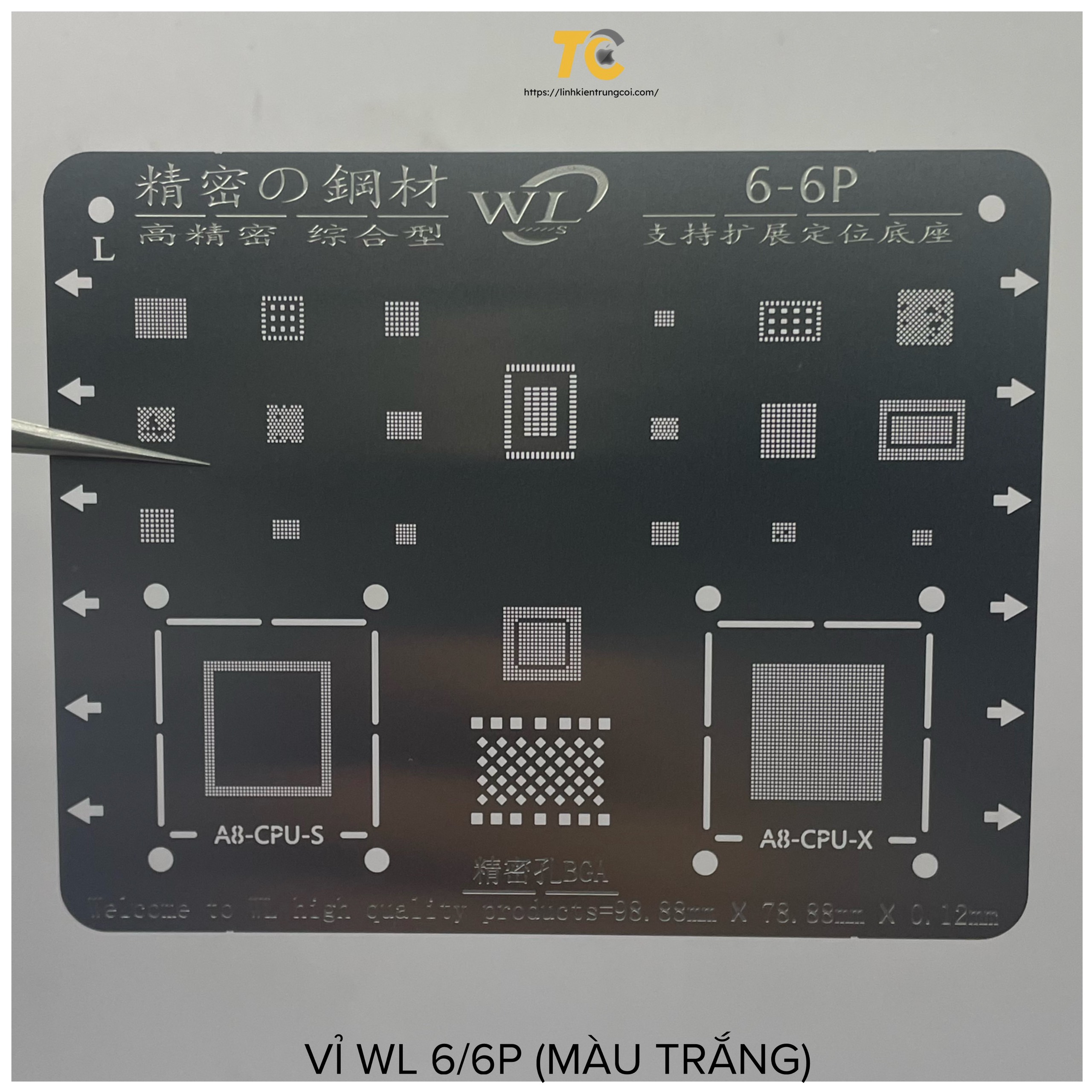 6 6P TRẮNG