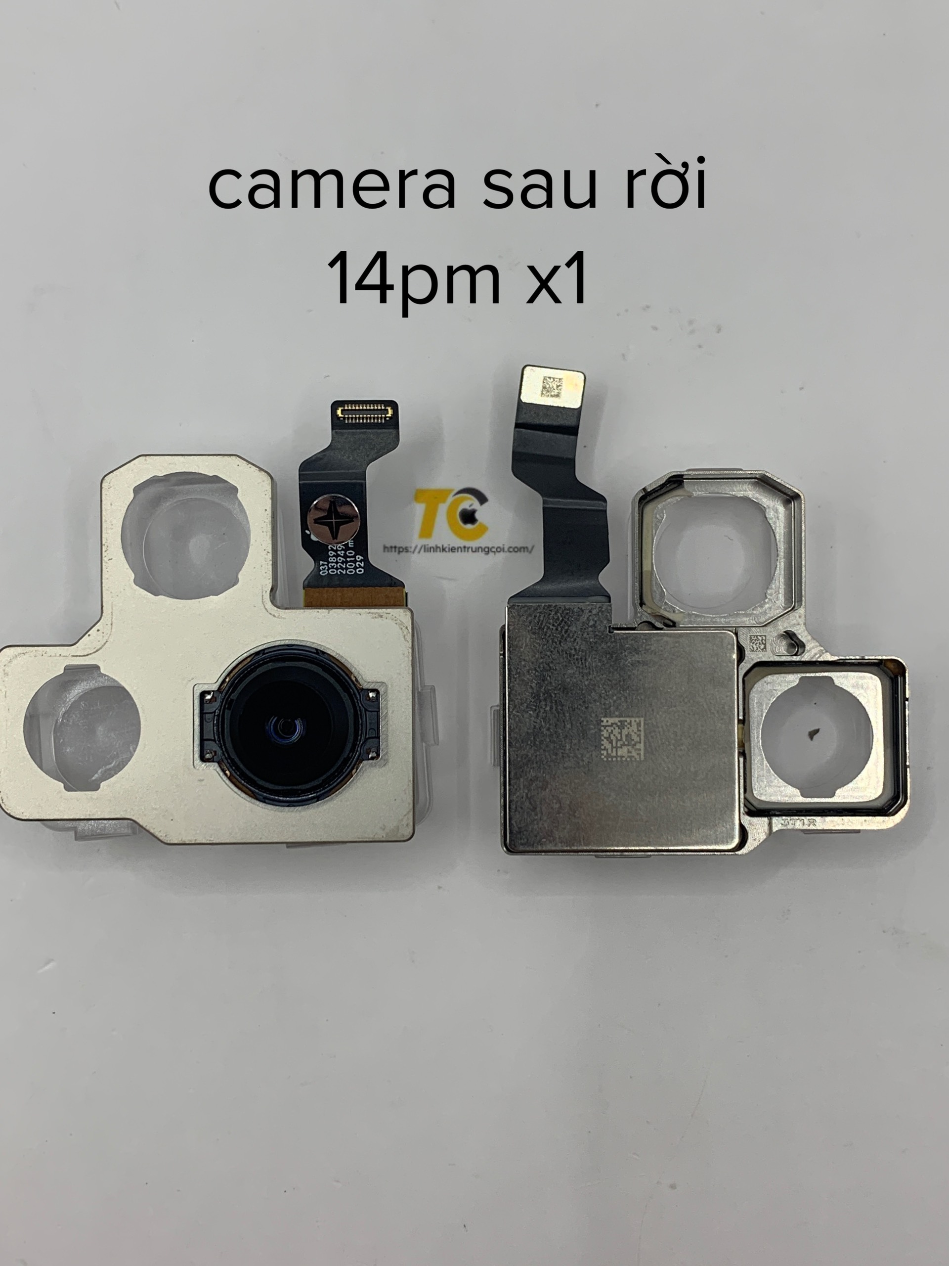 14PM X1